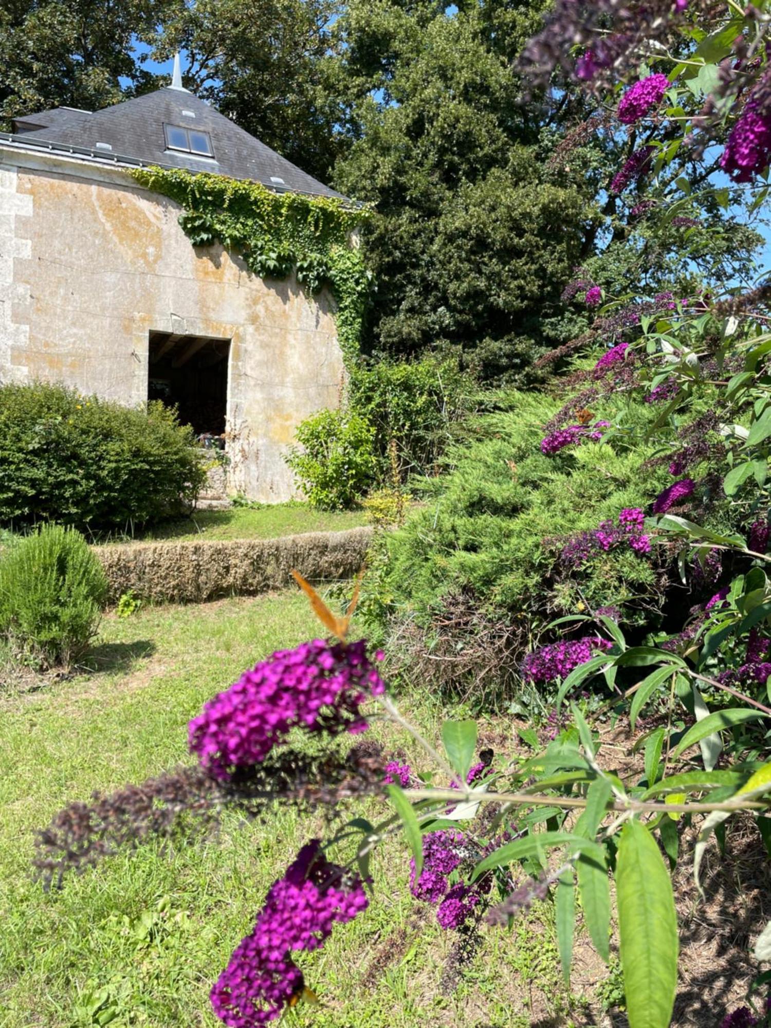 Chateau De La Huberdiere Nazelles-Negron Εξωτερικό φωτογραφία